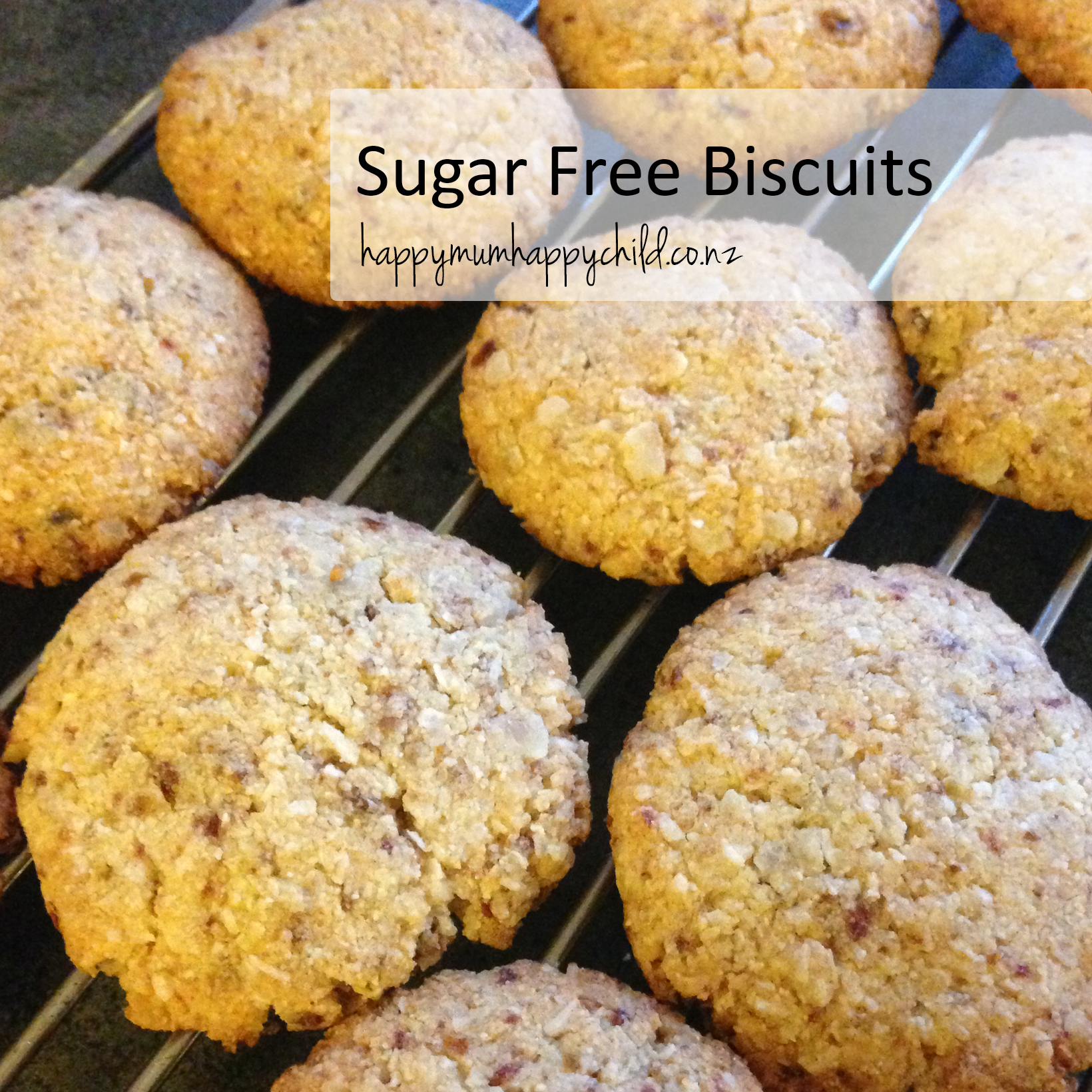 Sugar free best sale baby biscuits